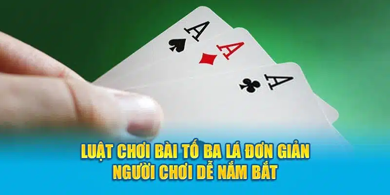 luat-choi-bai-to-ba-la-don-gian-nguoi-choi-de-nam-bat