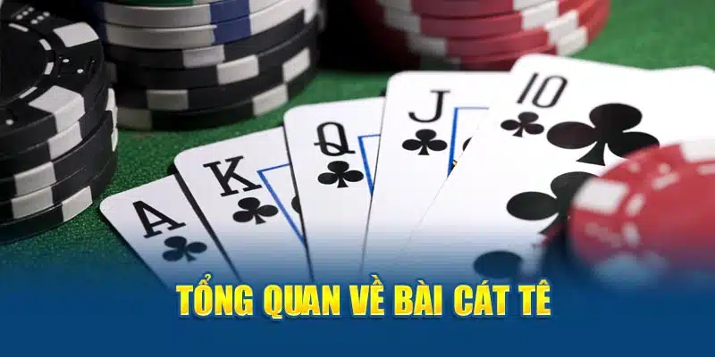 tong-quan-ve-bai-cat-te